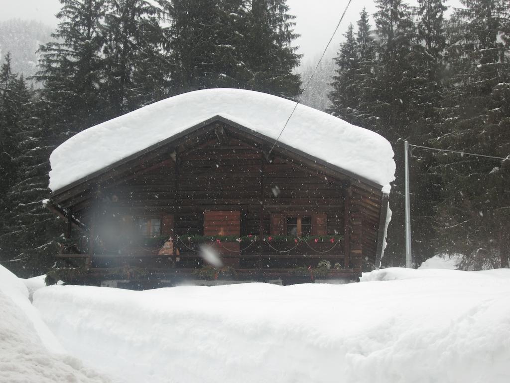 Bed and Breakfast Meublè Blue House à Auronzo di Cadore Extérieur photo